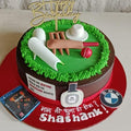 CRICKET CRAZE