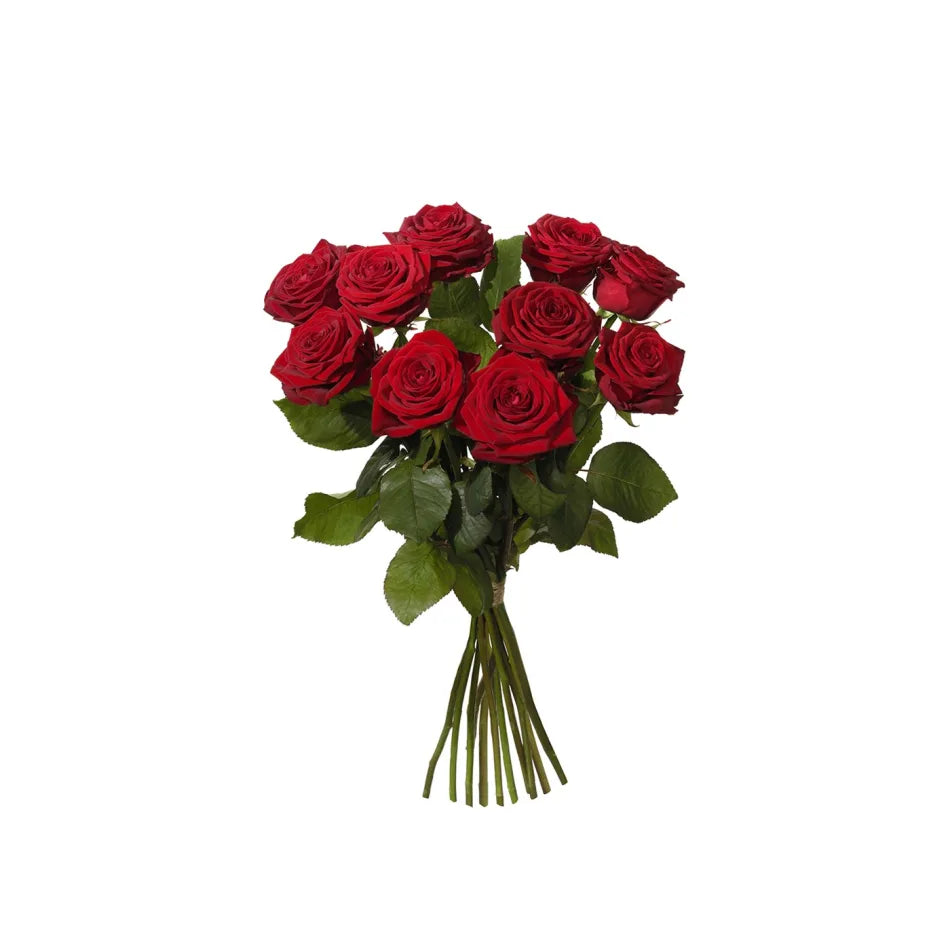 Flowers (flowers standard 10 red roses only)