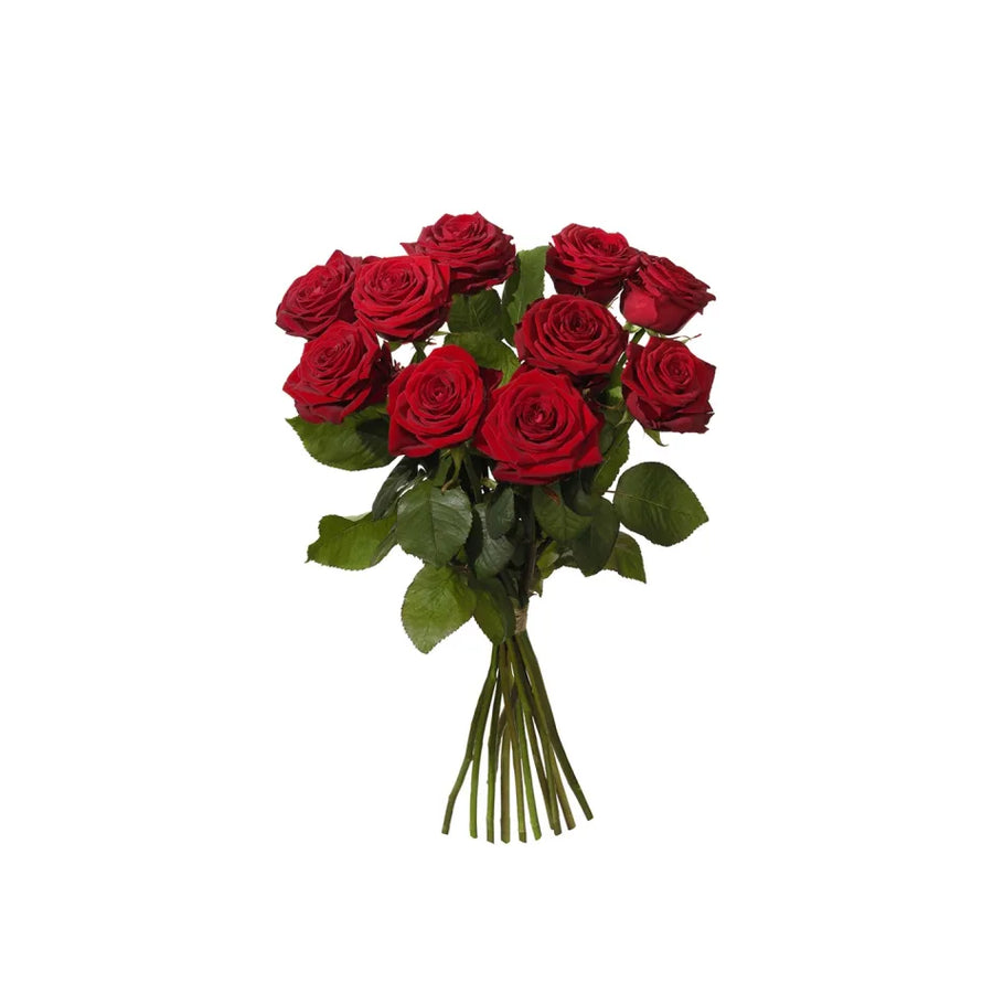 Flowers (flowers standard 10 red roses only)